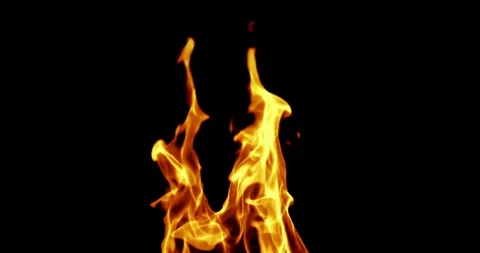 Realistic fire flames burn movement frame on black background Stock Footage 91032515