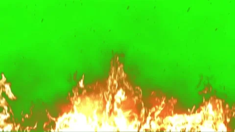 Realistic Fire Flames Burning on Green Screen Background 스톡 동영상 347214601
