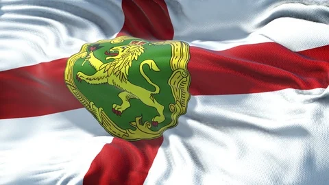 Realistic Flag of Alderney Stock Footage 98220312