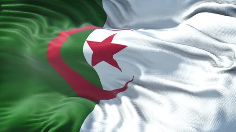 Realistic Flag of Algeria Stock Footage 98220359