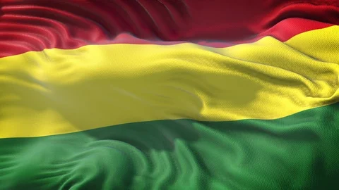 Realistic Flag of Bolivia Stock Footage 98427765