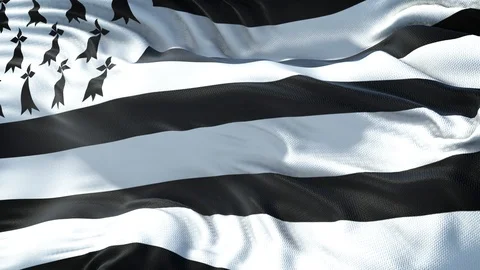 Realistic Flag of Brittany Stock Footage 98430261