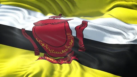Realistic Flag of Brunei Stock Footage 98430391