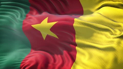 Realistic Flag of Cameroon Stock Footage 98719778