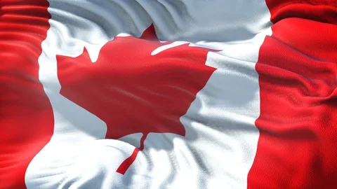 Realistic Flag of Canada Stock Footage 98719835