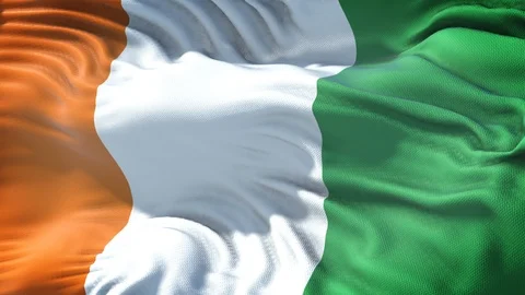 Realistic Flag of Cote d'Ivoire Stock Footage 98733071
