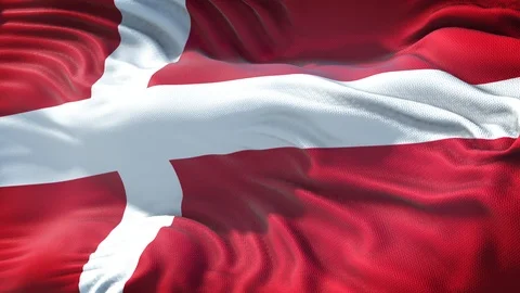Realistic Flag of Denmark Stock Footage 98894165