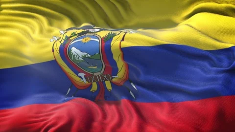 Realistic Flag of Ecuador Stock Footage 98895337