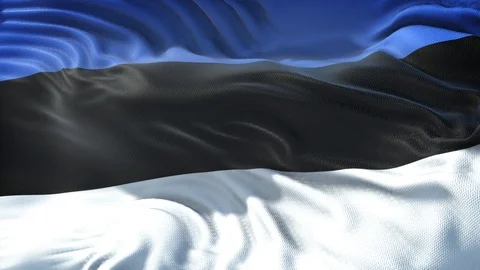 Realistic Flag of Estonia Stock Footage 98896965