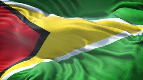 Realistic Flag of Guyana Loop Stock Footage 99288981