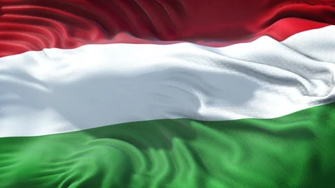 Realistic Flag of Hungary Loop Stock Footage 99290191