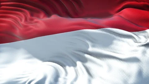 Realistic Flag of Indonesia Loop Stock Footage 99932520