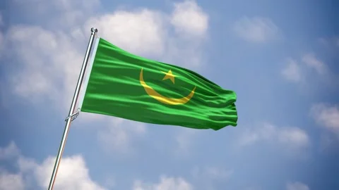 Realistic Flag MAURITANIA Stock Footage 343595930