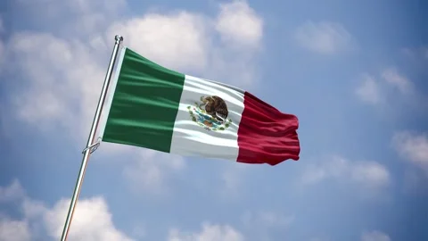 Realistic Flag MEXICO Stock Footage 343595940
