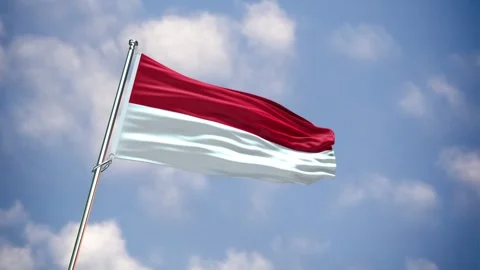 Realistic Flag MONACO Stock Footage 343595948