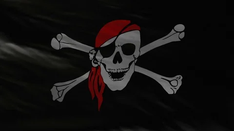 Realistic Flag of Pirates Loop Stock Footage 114600772