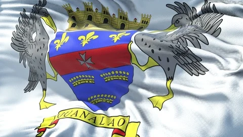 Realistic Flag of Saint Barthelemy Loop Stock Footage 101084405