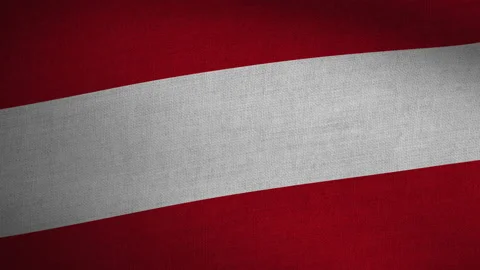 Realistic Flag Seamless Loop - Austria Stock Footage 145683438