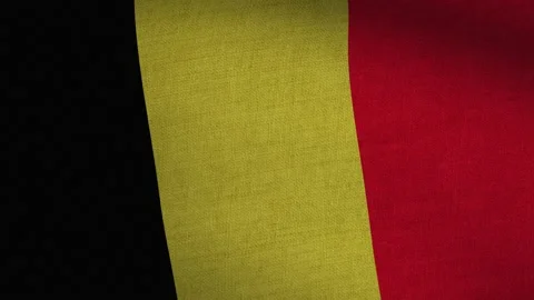 Realistic Flag Seamless Loop - Belgium Stock Footage 145683448