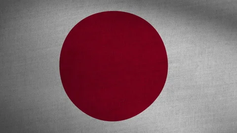 Realistic Flag Seamless Loop - Japan Stock Footage 145691221