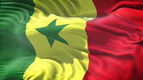 Realistic Flag of Senegal Loop Stock Footage 101085540