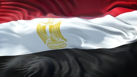 Realistic Flga of Egypt Stock Footage 98221002