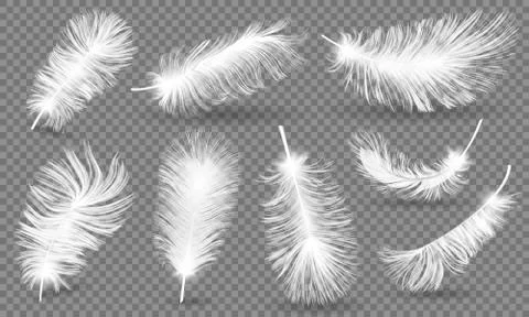 Realistic Fluffy feathers. Falling twirled plumage of white bird on blue Stock Illustration