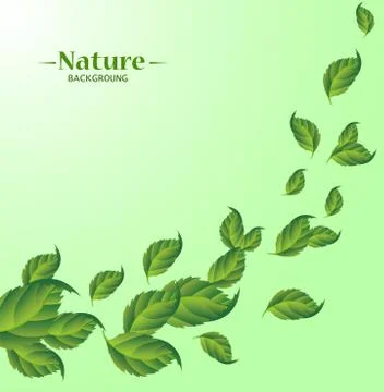 Realistic Fly Green Leaves Pattern Background Stock Illustration