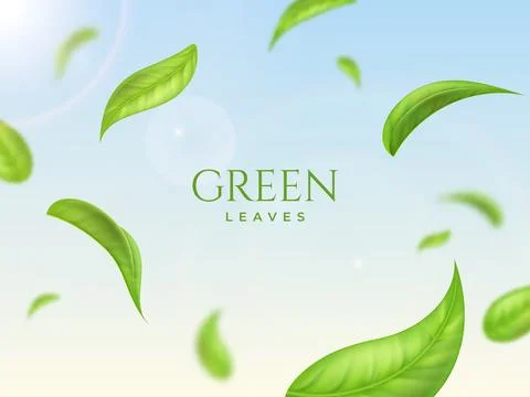 Realistic flying green leaf, blur and focused elements. Nature spring tree Stock Illustration