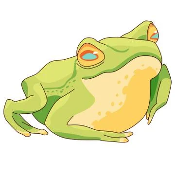 Realistic frog on white isolated backdrop stock vector illustration Stock Illustration
