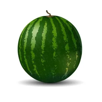 Realistic full watermelon on white background Stock Illustration
