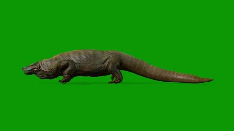 Realistic giant lizard Run Fast Left 3D Rendering Animation On Green Screen Stock Footage 314929135