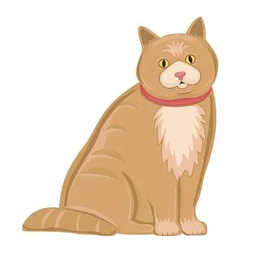 Realistic ginger cat on a white background - Vector Stock Illustration