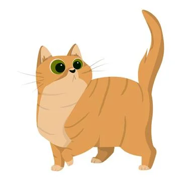 Realistic ginger surprised cat on a white background - Vector Stock Illustration