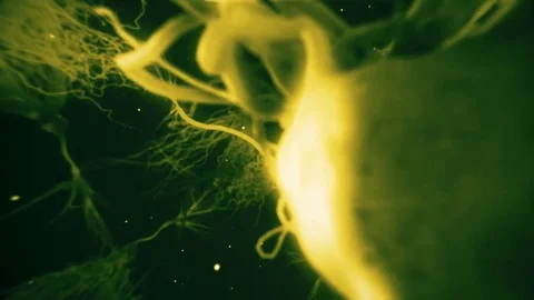 Realistic Glowing Neurone synapse network 3D animation in yellowish light. Stock Footage 77847714