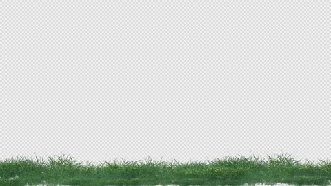 Realistic Grass Swing Continuous Alpha Loop Stock Footage 329267331