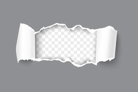 Realistic gray torn open paper with rolled sides Stock Illustration