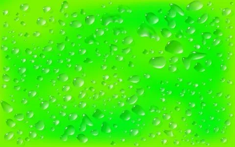 Realistic green background, rectangular surface. Transparent droplets Stock Illustration