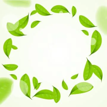 Realistic Green Leaves Circle Frame Background. Vector Stock Illustration
