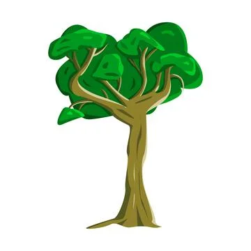 Realistic green oak tree isolated on white background - Vector Stock Illustration