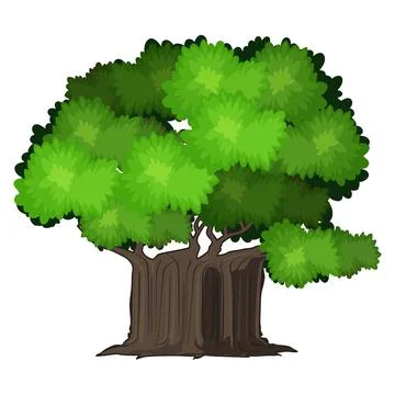 Realistic green oak tree isolated on white background - Vector Stock Illustration