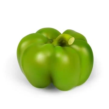 Realistic green pepper Stock Illustration