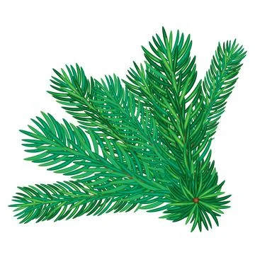 Realistic green pine branches with needles isolated vector illustration for s Illustrazione stock