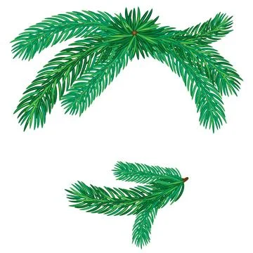 Realistic green pine branches with needles isolated vector illustration for s Stock Illustration