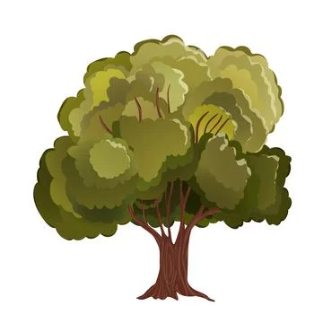 Realistic green tree. Isolated icon on white background. Spring tree for your Stock Illustration