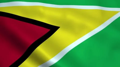 Realistic Guyana flag Stock Illustration