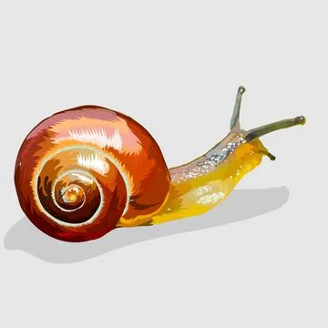 Realistic hand drawn vector and illustrations white backgrounds Stock Illustration