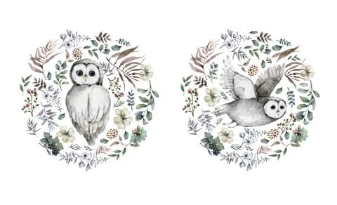 Realistic hand drawn watercolor of owl with floral circle design frame, illus Stock Illustration