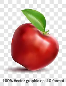 Realistic healthy red apple with leaf. Vector in eps 10 format, no raster Stock Illustration
