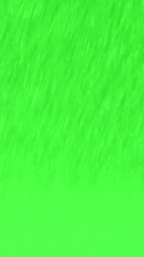 Realistic heavy rain falling on green screen background for compositing Stock Footage 334705741